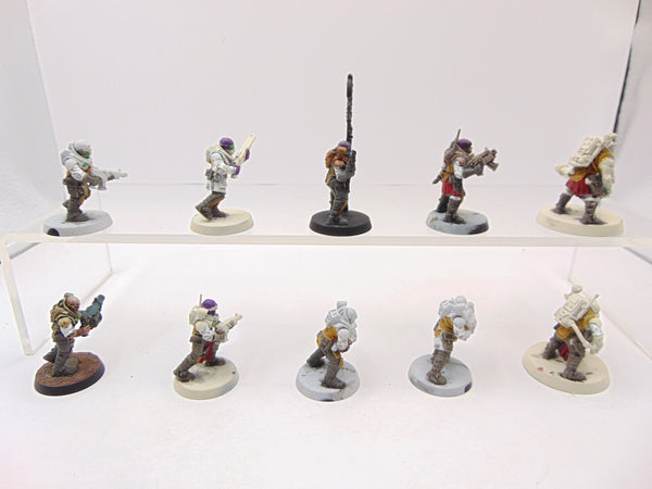 Neophyte Hybrids