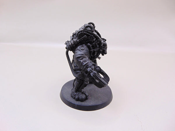 Charonite Ogryn