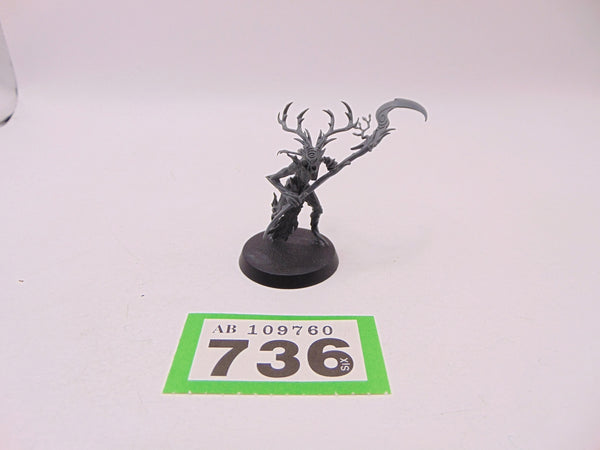 Branchwych