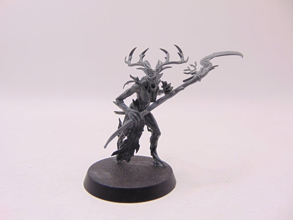Branchwych