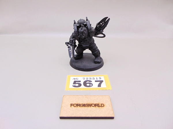 Charonite Ogryn