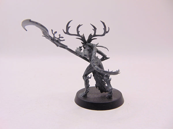 Branchwych