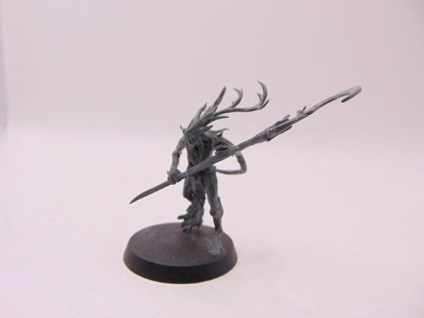 Branchwych