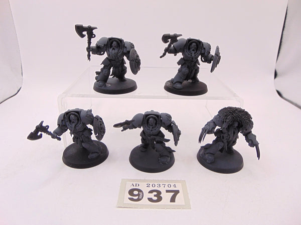 Wolf Guard Terminators