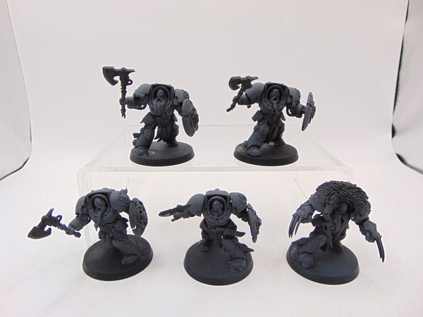 Wolf Guard Terminators