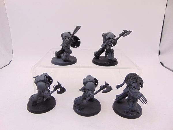 Wolf Guard Terminators