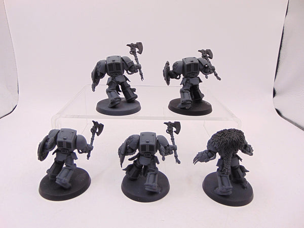 Wolf Guard Terminators