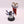 Acolyte Iconward