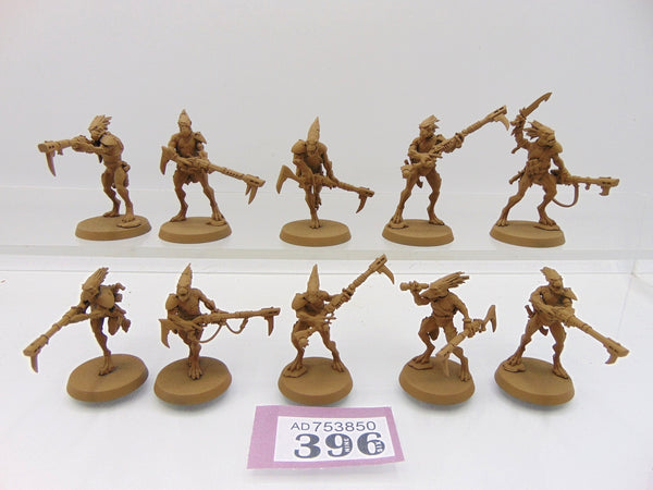 Kroot Carnivores