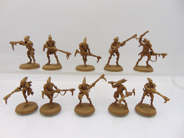 Kroot Carnivores