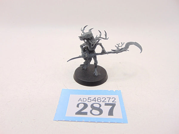 Branchwych