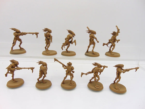 Kroot Carnivores