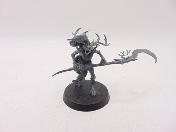 Branchwych