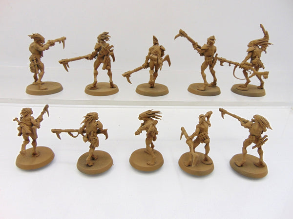 Kroot Carnivores