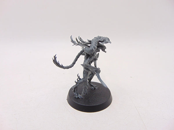 Branchwych
