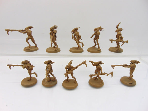 Kroot Carnivores