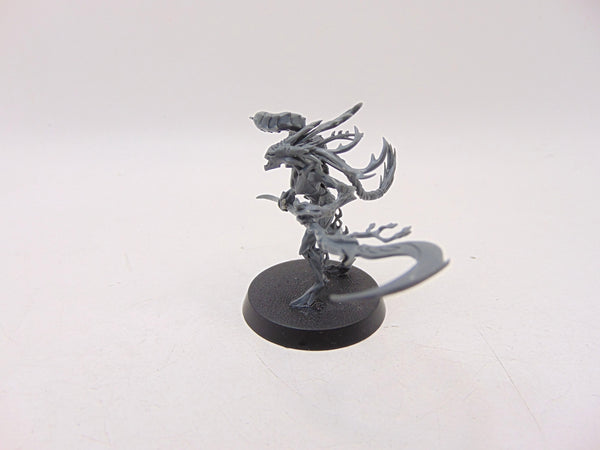 Branchwych