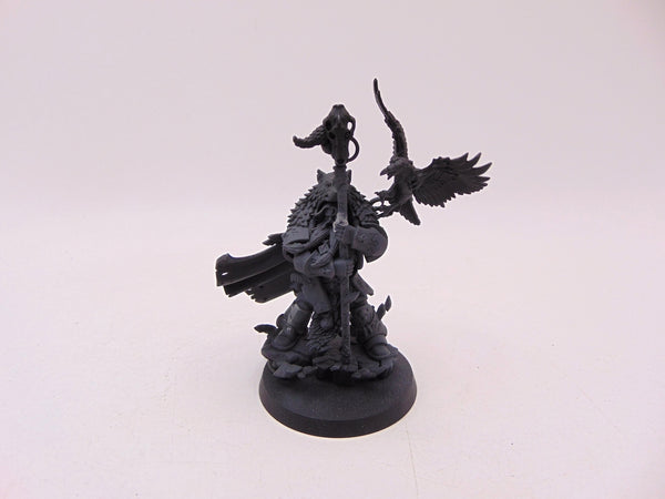 Njal Stormcaller