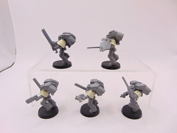 Assault Squad