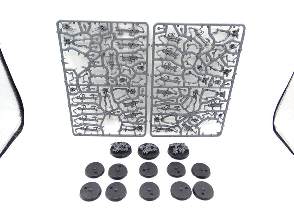 Necron Warriors & Canoptek Scarab Swarms