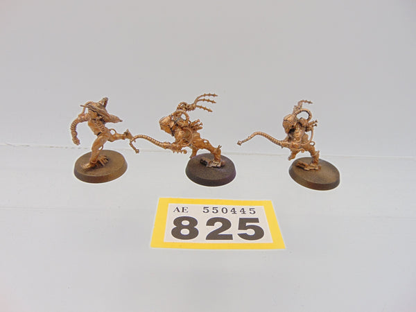 Arco Flagellants