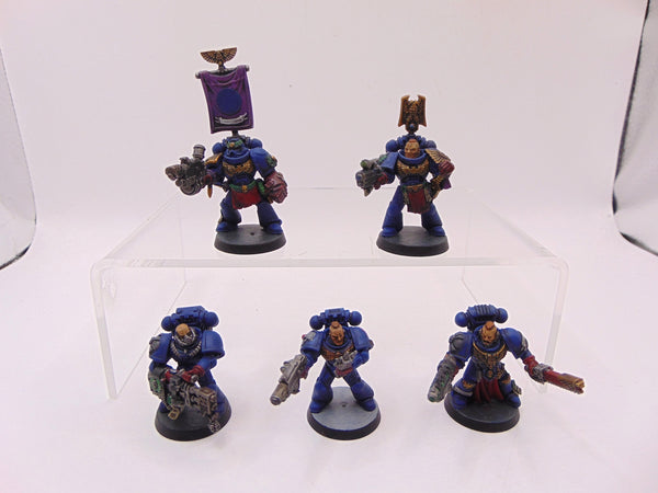 Sternguard Veterans