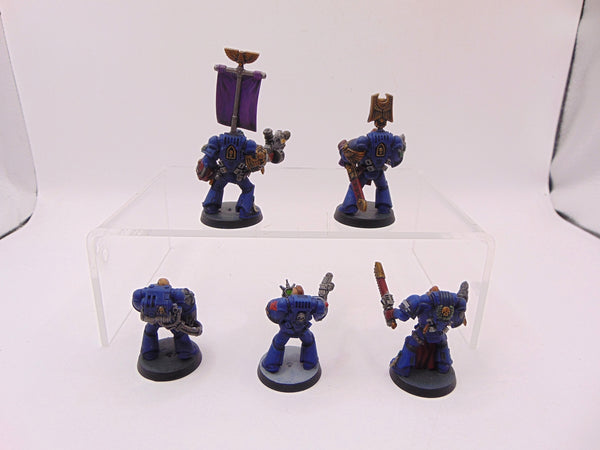 Sternguard Veterans