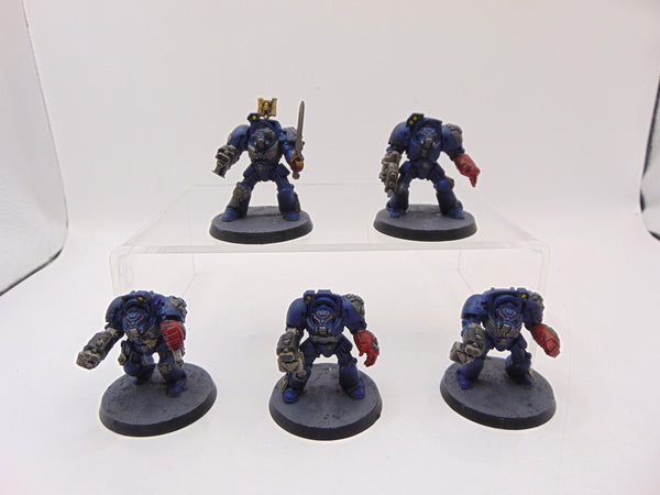 Terminator Squad