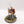 Lord Solar Leontus