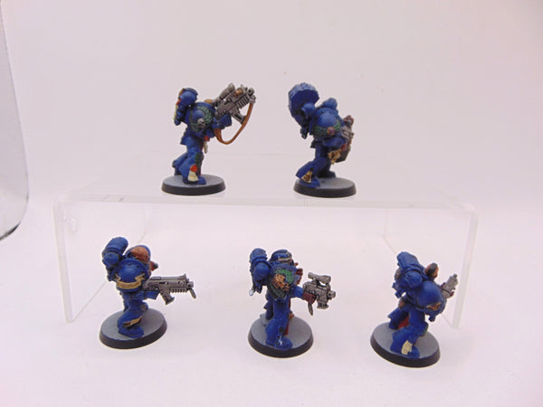 Sternguard Veterans