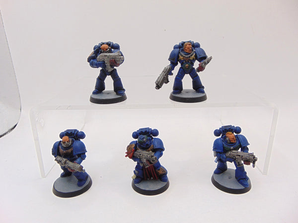 Sternguard Veterans