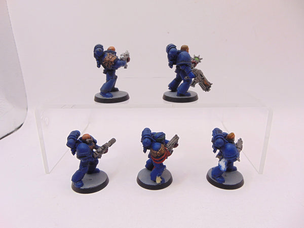 Sternguard Veterans