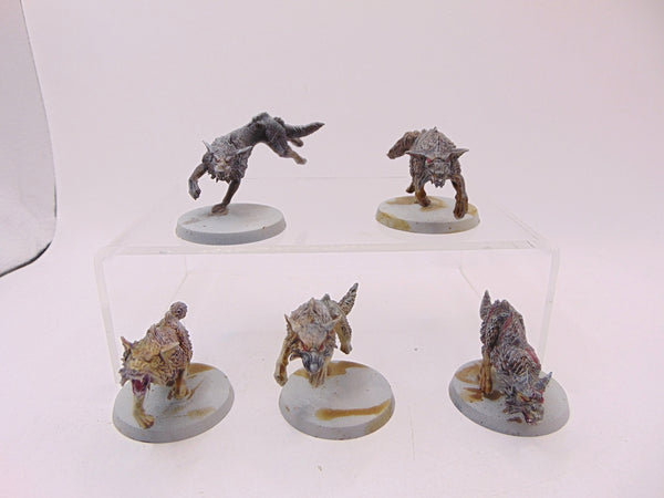 Fenrisian Wolves