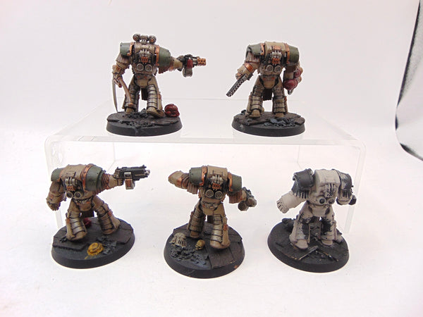 Cataphractii Terminator Squad