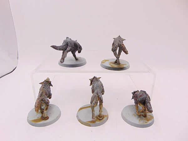 Fenrisian Wolves