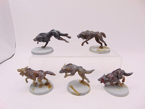Fenrisian Wolves