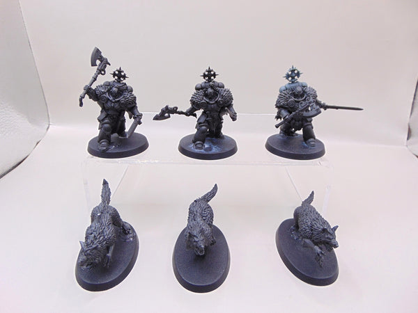 Wolf Guard Headtakers