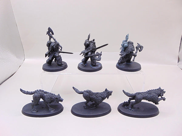 Wolf Guard Headtakers