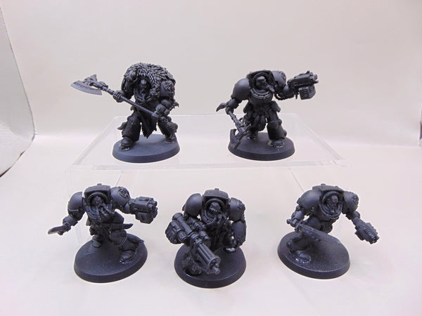 Wolf Guard Terminators