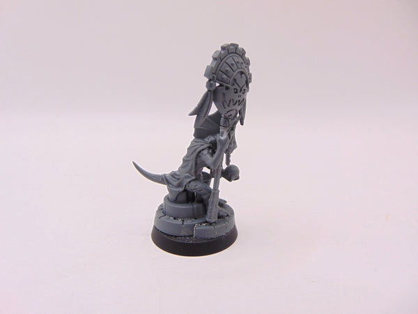 Skink Starpriest Conversion