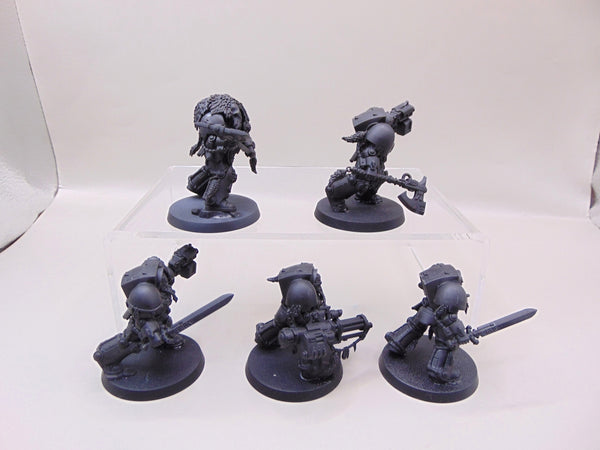 Wolf Guard Terminators