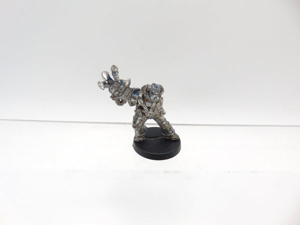 Chaos Champion