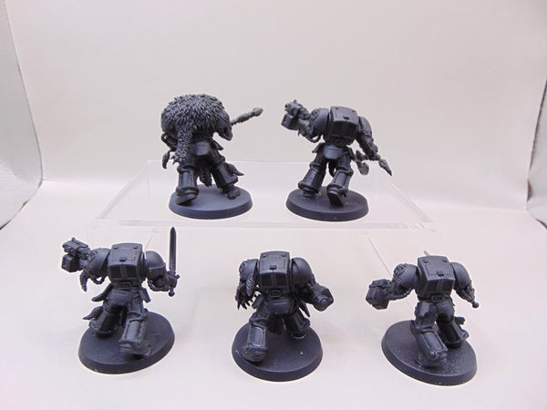 Wolf Guard Terminators