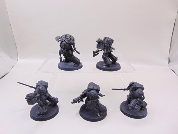 Wolf Guard Terminators