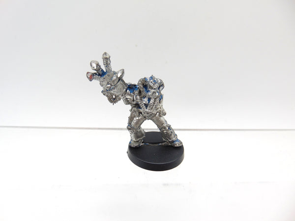 Chaos Champion