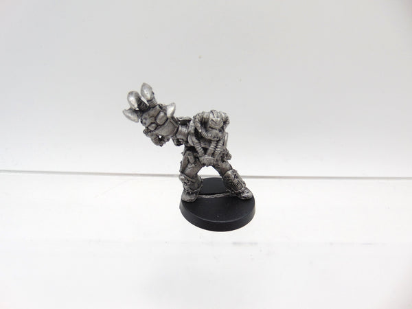 Chaos Champion