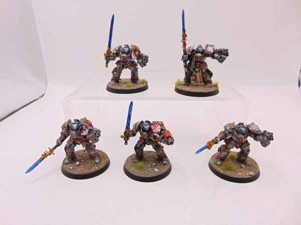 Brotherhood Terminator