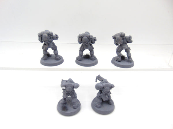 Hounds of Morkai
