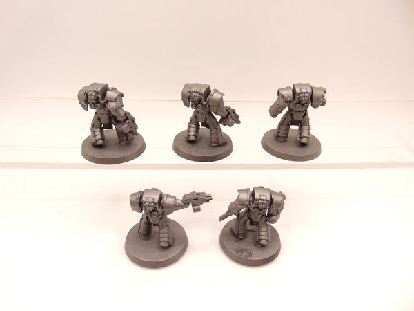 Cataphractii Terminator Squad