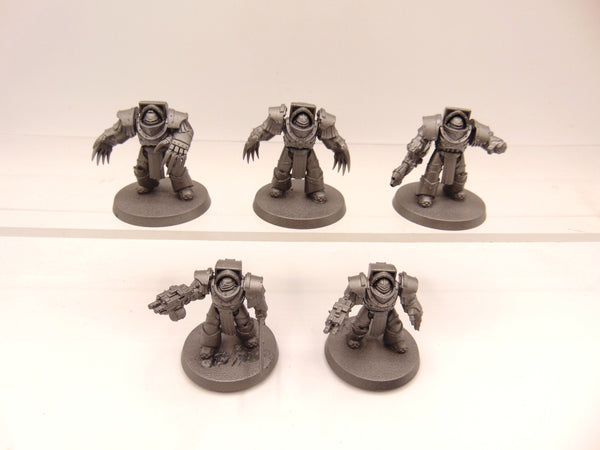 Cataphractii Terminator Squad